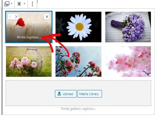 Add caption - IsItWP - Detector gratuito de temas de WordPress