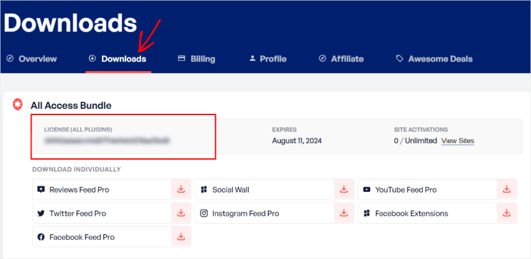 smash-balloon-license-key - IsItWP - Detector gratuito de temas de WordPress smash balloon license key