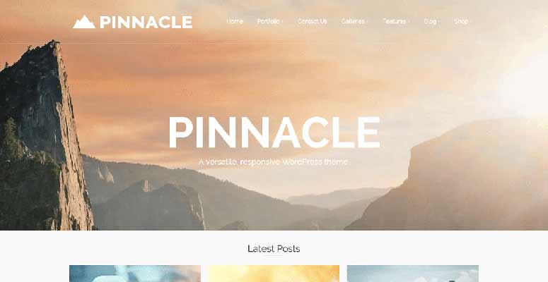 Pinnacle - IsItWP - Free WordPress Theme Detector Pinnacle