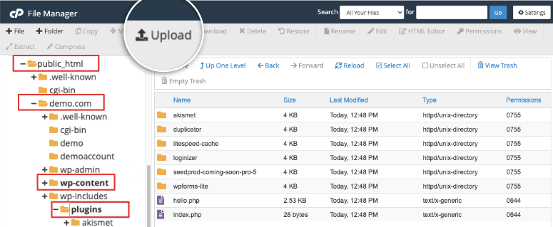 upload plugin in cpanel file manager - IsItWP - Free WordPress Theme Detector upload plugin in cpanel file manager